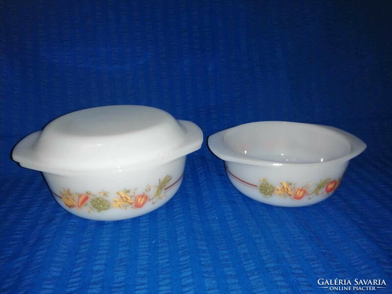 Pair of Jena glass bowls with vegetable patterns (a11)