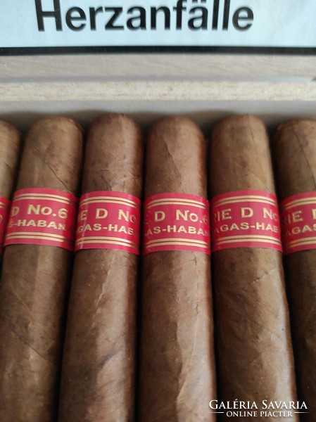 Cuban cigar original 'partagas d no. 6' in a wooden gift box