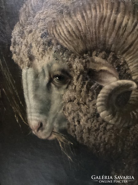 Painting by Bálint árpád sheep eating hay