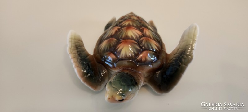 Rare collector's item, French porcelain turtle tortoise, hand painted