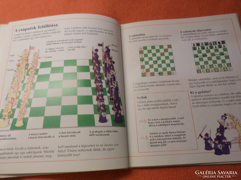 First steps - master chess step by step 1999
