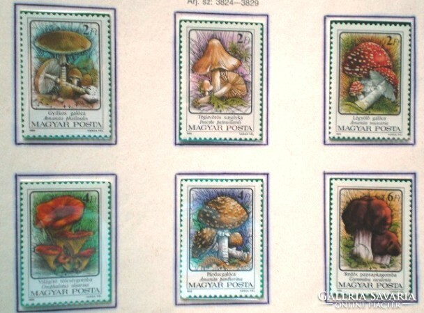 S3824-9 / 1986 Gombák II. - Mérgező bélyegsor postatiszta