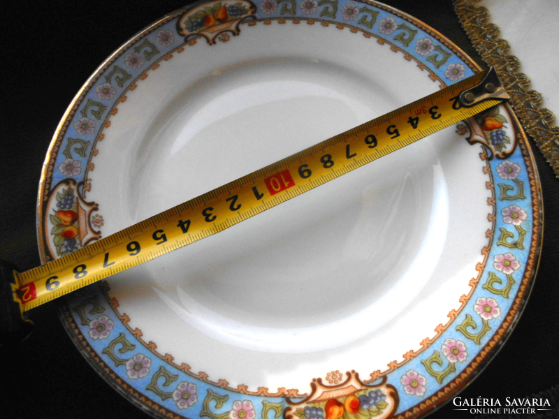 Haas & czjzek schlaggenwald porcelain plate with fruit pattern 19 cm