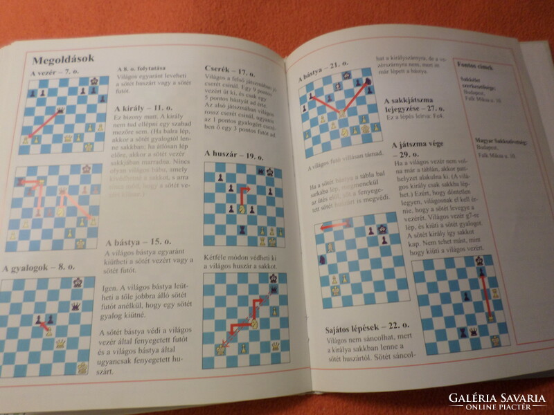 First steps - master chess step by step 1999