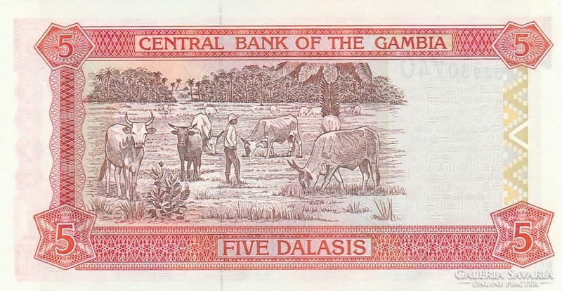 Gambia 5 dalasis, 2006, unc banknote