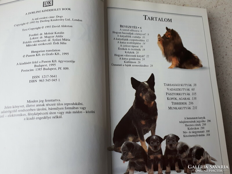 David Alderton Kutyák Határozó kézikönyv