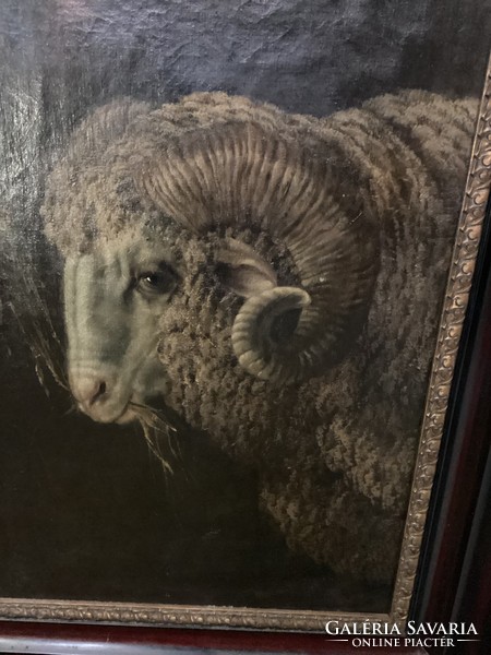 Painting by Bálint árpád sheep eating hay