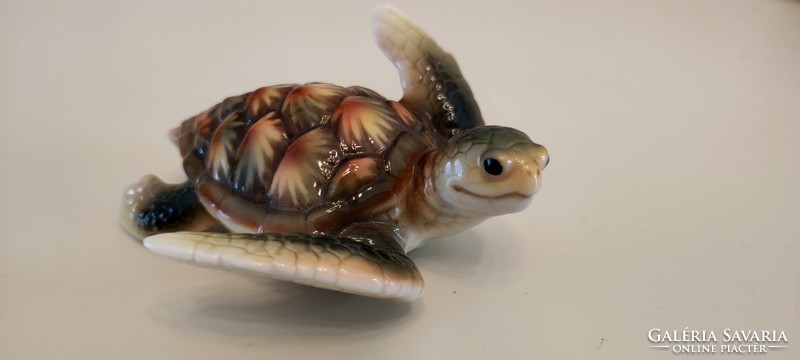 Rare collector's item, French porcelain turtle tortoise, hand painted