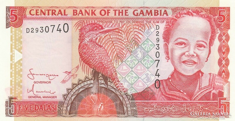 Gambia 5 dalasis, 2006, unc banknote