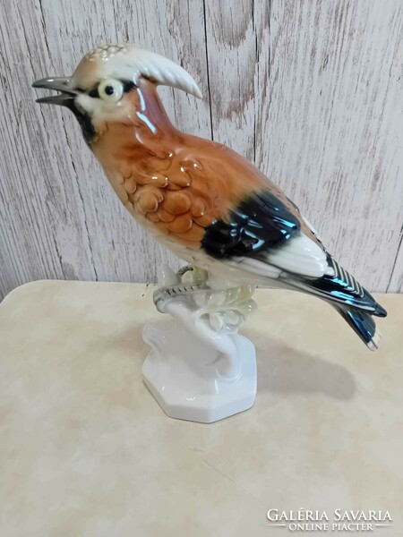 Volkstedt német porcelán nagyon ritka madár - szajkó vagy búbos banka