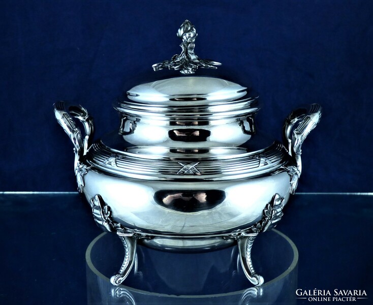 Dreamy, antique silver bonbonier, Paris, ca. 1880!!!