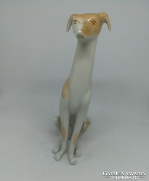 Drasche porcelain dog