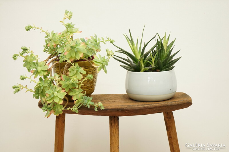 Small chair / seat / solid oak stool / acacia wood with legs / flower stand / retro wood