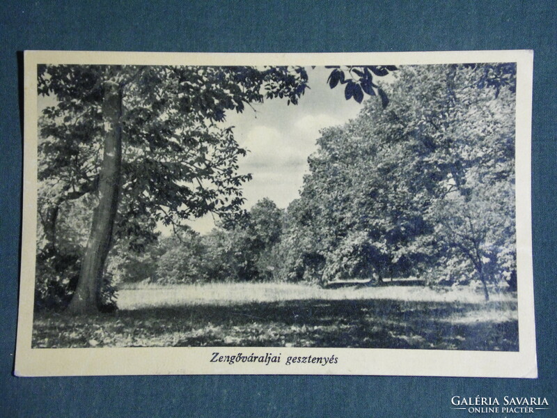 Képeslap, Postcard, Zengővárkony, Zengőváraljai gesztenyés, 1944