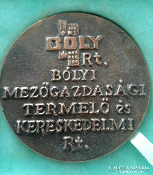 Boly bronze commemorative medal, plaque 8 cm in its own box. Sign F