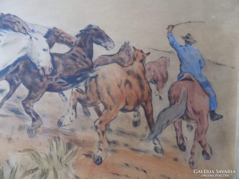 János Viski (1891-1961) colts galloping stallion color etching !!