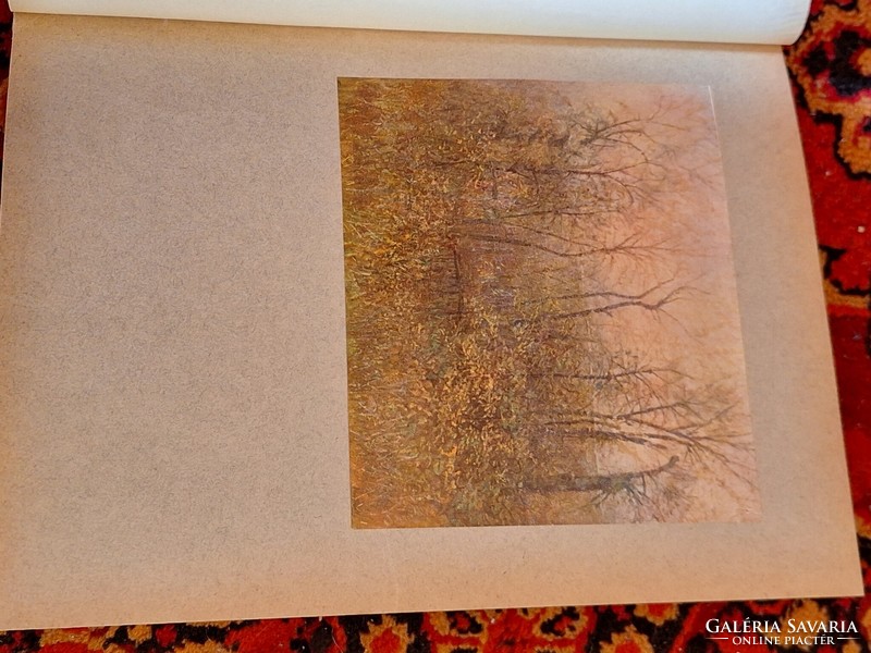 Rrr!!! Extra album of modern Hungarian painters - Pest diary 1907 Gottermayer binding!!! Collectors!