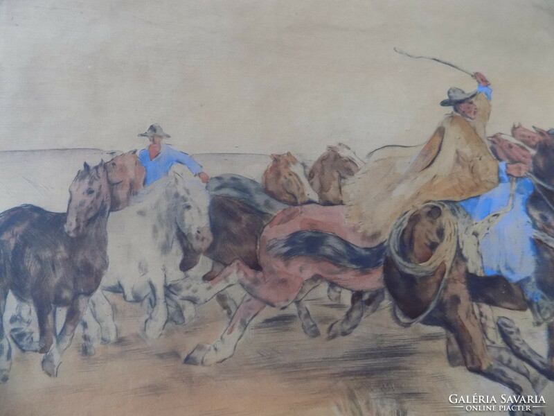 János Viski (1891-1961) colts galloping stallion color etching !!