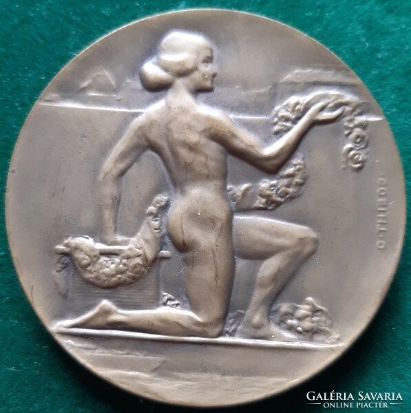 O. Thiede: a. Bergmann 1912, Art Nouveau medal