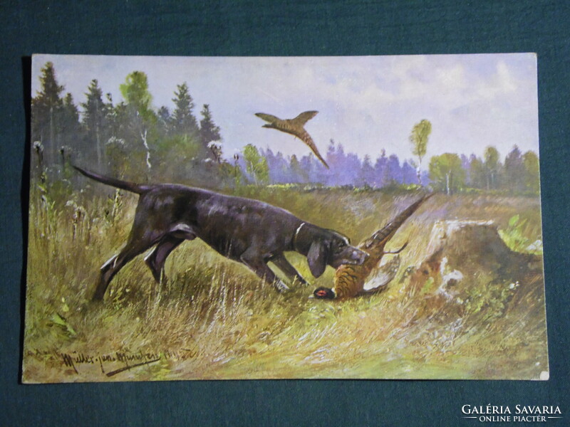 Képeslap, Postcard, artist,Jagdhund,hunting dog, Jäger, vadászat ,vadász, 1910
