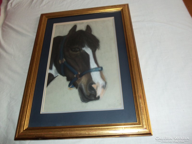 Signed portrait of beautiful horse !!