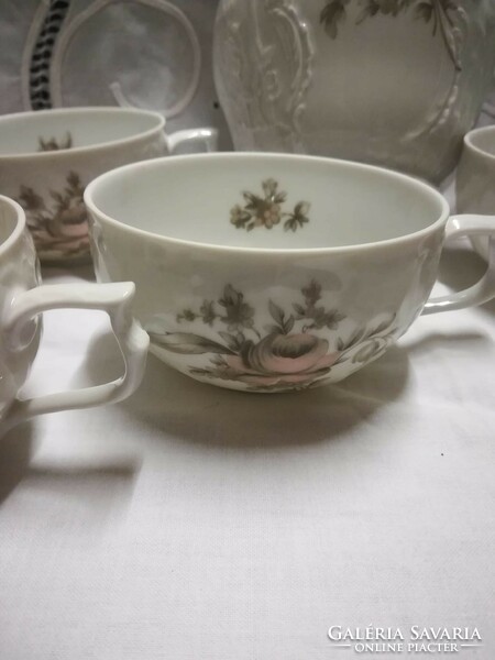 Classic rose-rosenthal porcelain jug + cup