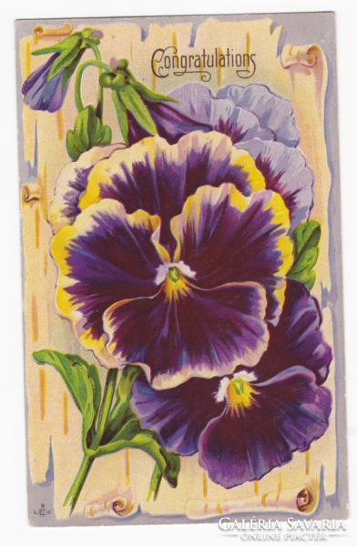 Lila virágos képeslap