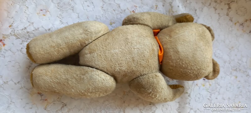 A teddy bear stuffed with an old bill