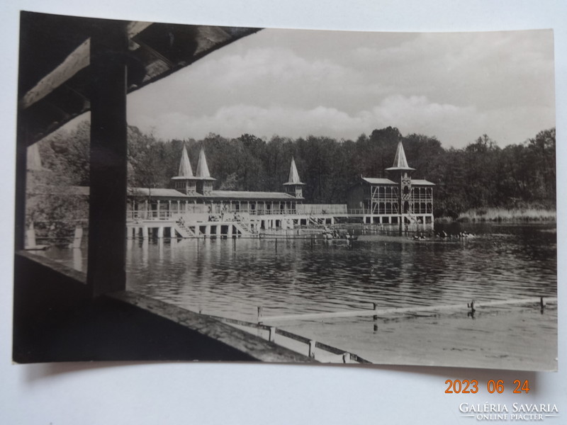 Old postcard: Hévíz spa, lake detail (1961)