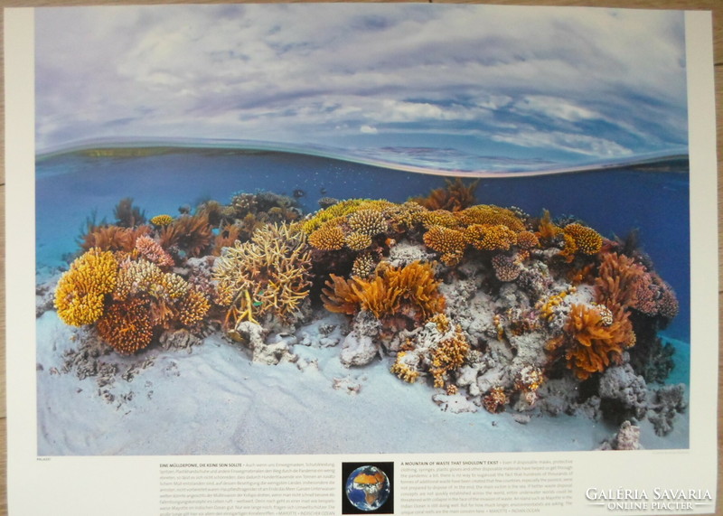 Poster 44.: Coral reef at the island of Mayotte; Indian Ocean (nature conservation, photo)
