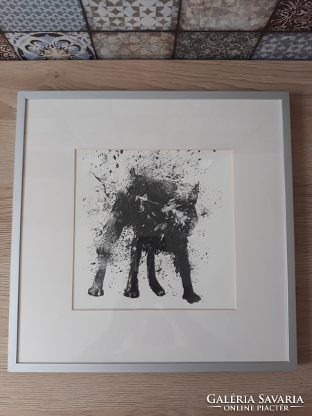 Balázs Solti - wet dog (ink drawing, print) in a frame