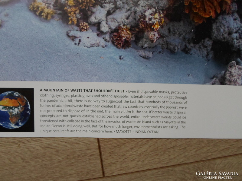 Poster 44.: Coral reef at the island of Mayotte; Indian Ocean (nature conservation, photo)