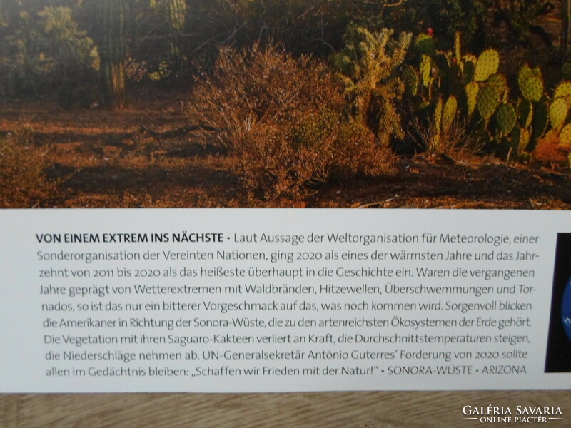 Poster 46.: Saguaro cacti of the Sonoran desert; usa, arizona (nature conservation, photo)
