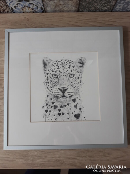 Balázs Solti - lovely leopard (ink drawing, print) in a frame