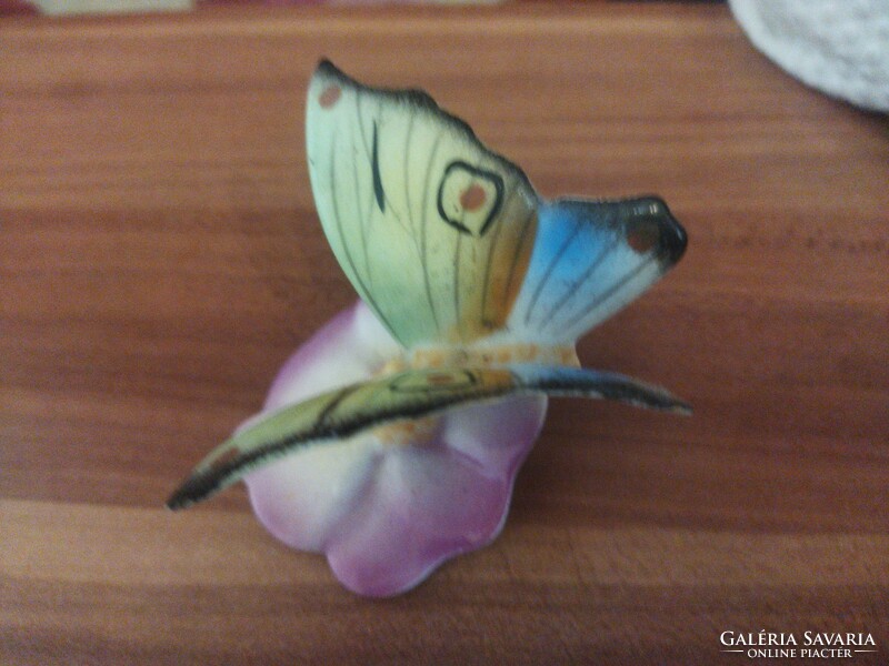 Kispest porcelain butterfly.
