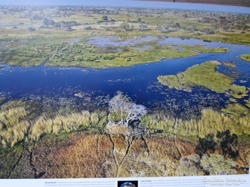 Poszter 47.: Okavango-delta; Dél-Afrika, Botswana (természetvédelem, fotó)