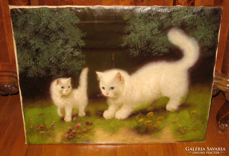 Large guaranteed original Boleradszky cat / 1885 -/ : kittens