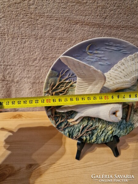 Dish plate with owl dome wine pattern, 3D effect