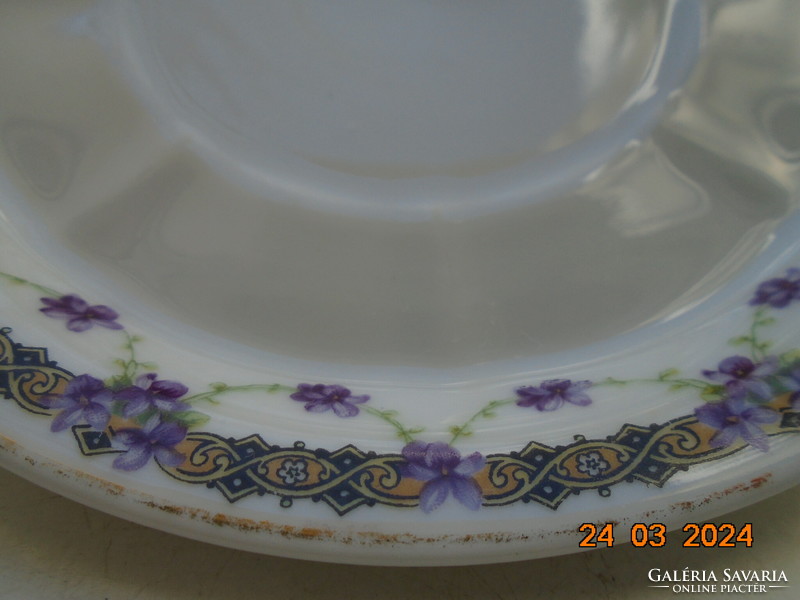 Gebruder, art nouveau tea cup with violet garland and saucer
