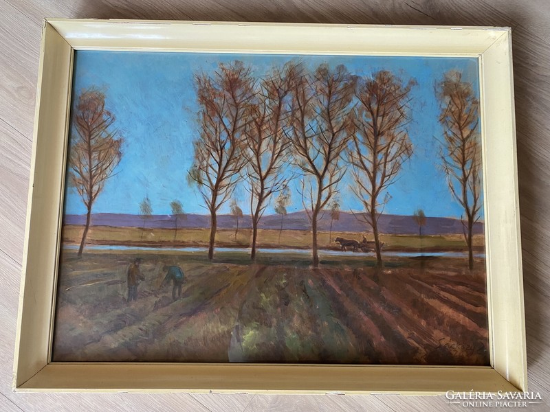 Sárközy Zoltán olajfestmény festmény