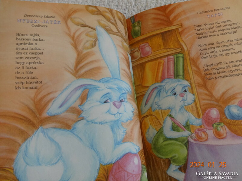 The smallest rabbit child - with drawings by Mariann Bihari