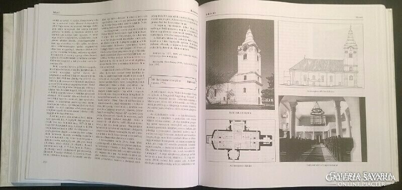 Architectural monuments of Csongrád county - huge volume!