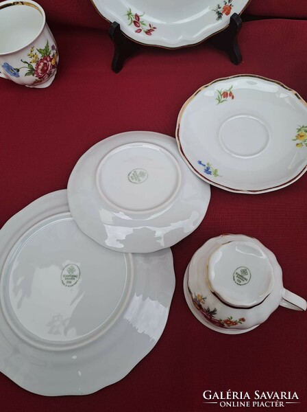 Beautiful German Bavarian Tea Trio Set Cup Cake Plate Cookie Breakfast Set Floral Rose