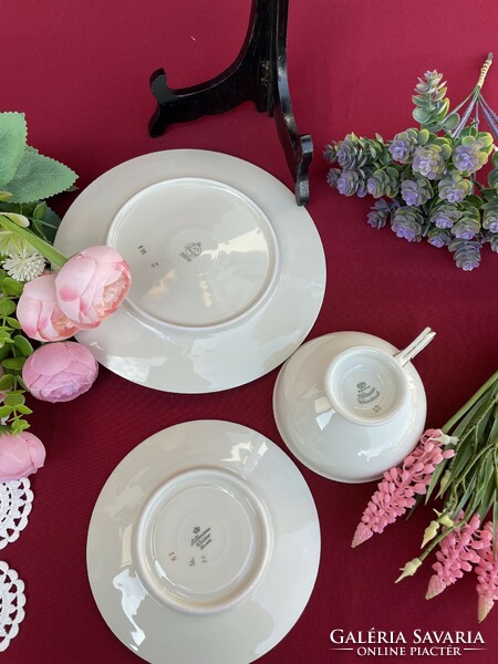 Mixed German Bavarian tea trio set cup cake plate cookie breakfast set floral rosy