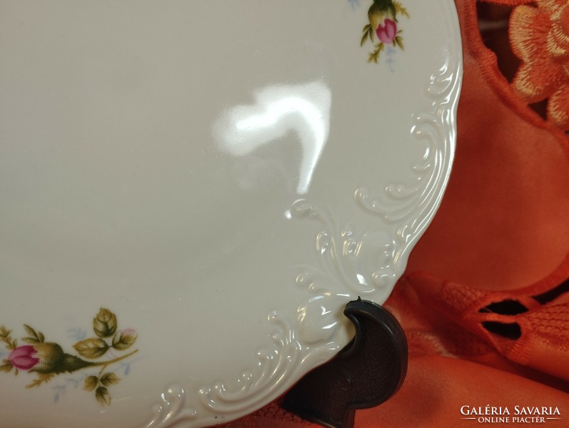 Antique Polish porcelain cookie plate for replacement