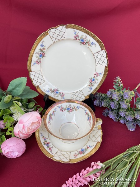 Beautiful German Bavarian Tea Trio Set Cup Cake Plate Cookie Breakfast Set Floral Rose