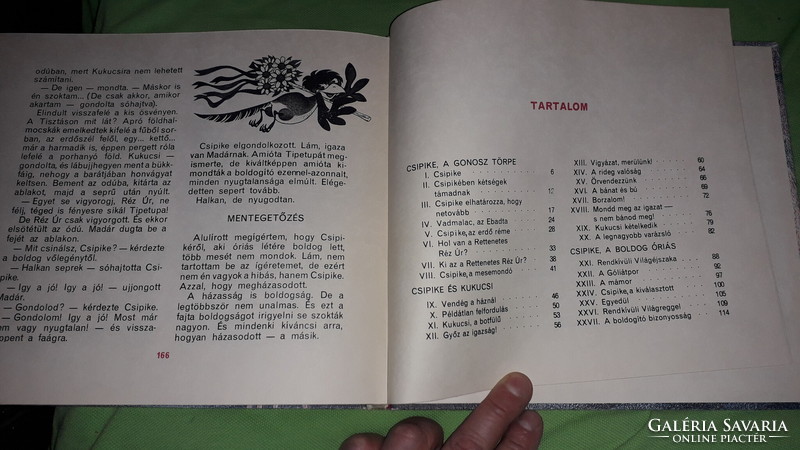 1981.Fodor Sándor - Csipike az óriás törpe képes mese könyv a képek szerint BUKAREST