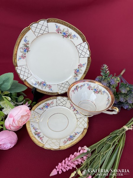 Beautiful German Bavarian Tea Trio Set Cup Cake Plate Cookie Breakfast Set Floral Rose