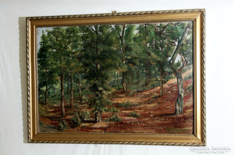 Kőhalmy László Erdő 1953. 50x75cm -- hegyoldal tájkép erdőbelső