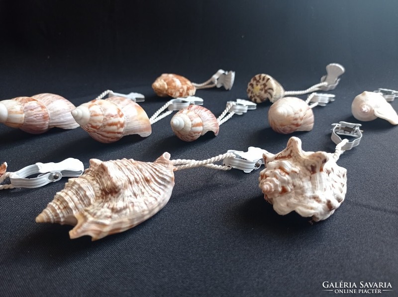 Clip-on sea snail ornaments 11 pcs